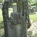 Willard Paul Photo 20