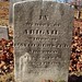 David Olmstead Photo 21