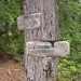 Steven Forest Photo 12