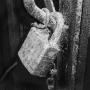 Alan Tyler Photo 15