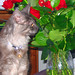 Jim Atkinson Photo 29