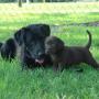Mary Murphree Photo 19