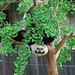 Xiang He Photo 24