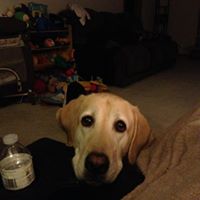 Debbie Treadway Photo 7