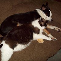 Janice Dow Photo 26