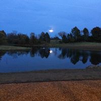 Julie Vaught Photo 12