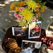 Teresa Stanfield Photo 6