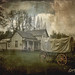 Phillip Foster Photo 11