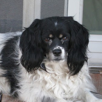 Connie Stephens Photo 4