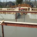 Perry Lyons Photo 22