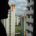 Siu Lui Photo 8