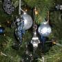 Jill Thacker Photo 12