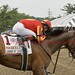 Haskell Watson Photo 8