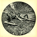 Thomas Weir Photo 15