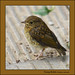 Robin Younger Photo 15