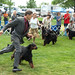 Randy Nash Photo 31