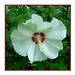Sharon Whiting Photo 15