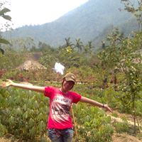 Tu Trinh Photo 34