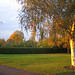 Ruth Musgrave Photo 11