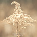 Kimberly Adams Photo 51