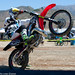 Todd Morrison Photo 59