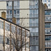 Craig Acton Photo 10