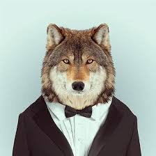 John Frost Photo 12