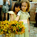 Roberta Daniel Photo 18