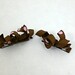 Mini Brown Photo 24