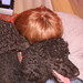 Robert Spoo Photo 7