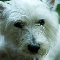 Lucy Platt Photo 3