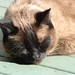 Kitty Maher Photo 9