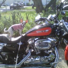 Yvonne Hernandez Photo 26