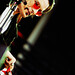 Michael Willy Photo 18