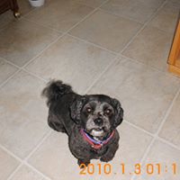 Sandra Geiger Photo 13