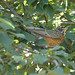 Robin Ralston Photo 15