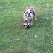 Reggie English Photo 18