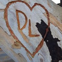 Lori Scherf Photo 3