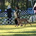 Denise Flaim Photo 9
