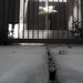 Barbara Gates Photo 21