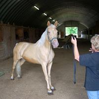Patricia Simpkins Photo 16
