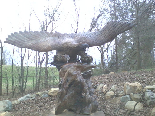 Debra Whiting Photo 26