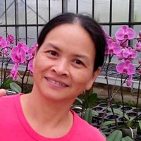 Mary Chang Photo 44