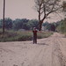 Frances Haynes Photo 24