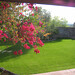 Barbara Loyd Photo 13