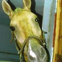 Debra Cooley Photo 14