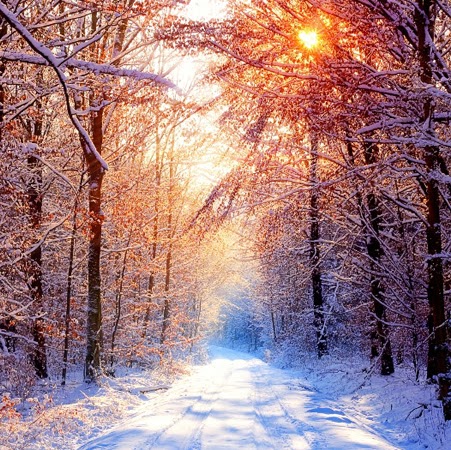 Beth Winters Photo 38