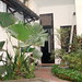 Hue Ngo Photo 16
