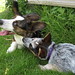 Susan Norton Photo 13