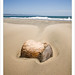 Gale Mitchell Photo 36